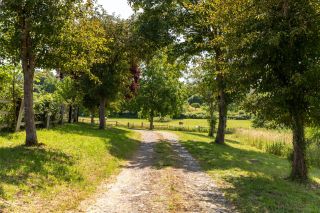 house 8 Rooms for sale on BEAUMONT EN AUGE (14950)