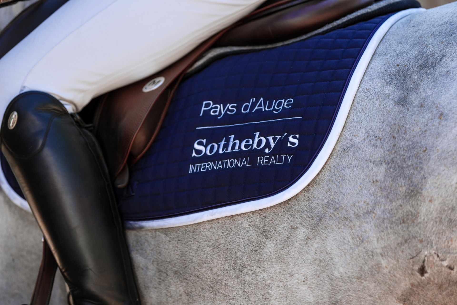 propriété équestre 9 Pièces en vente sur REUX (14130)