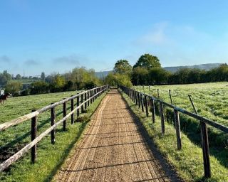 propriété équestre 6 Pièces en vente sur ST DESIR (14100)