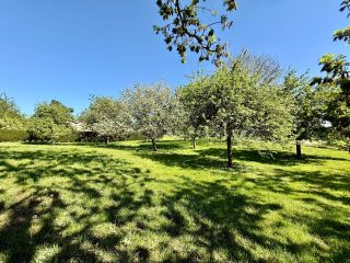 house 6 Rooms for sale on HAUSSEZ (76440)