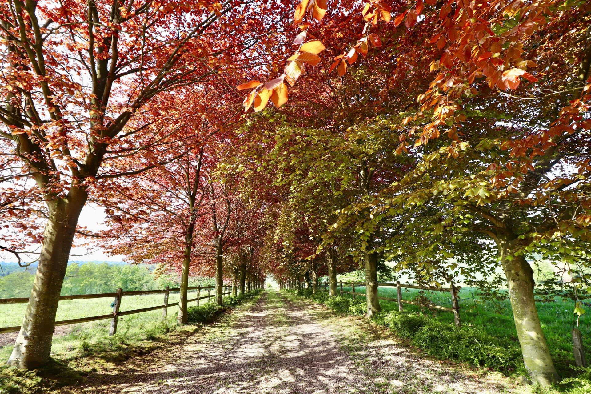 manoir 10 Pièces en vente sur ECAQUELON (27290)