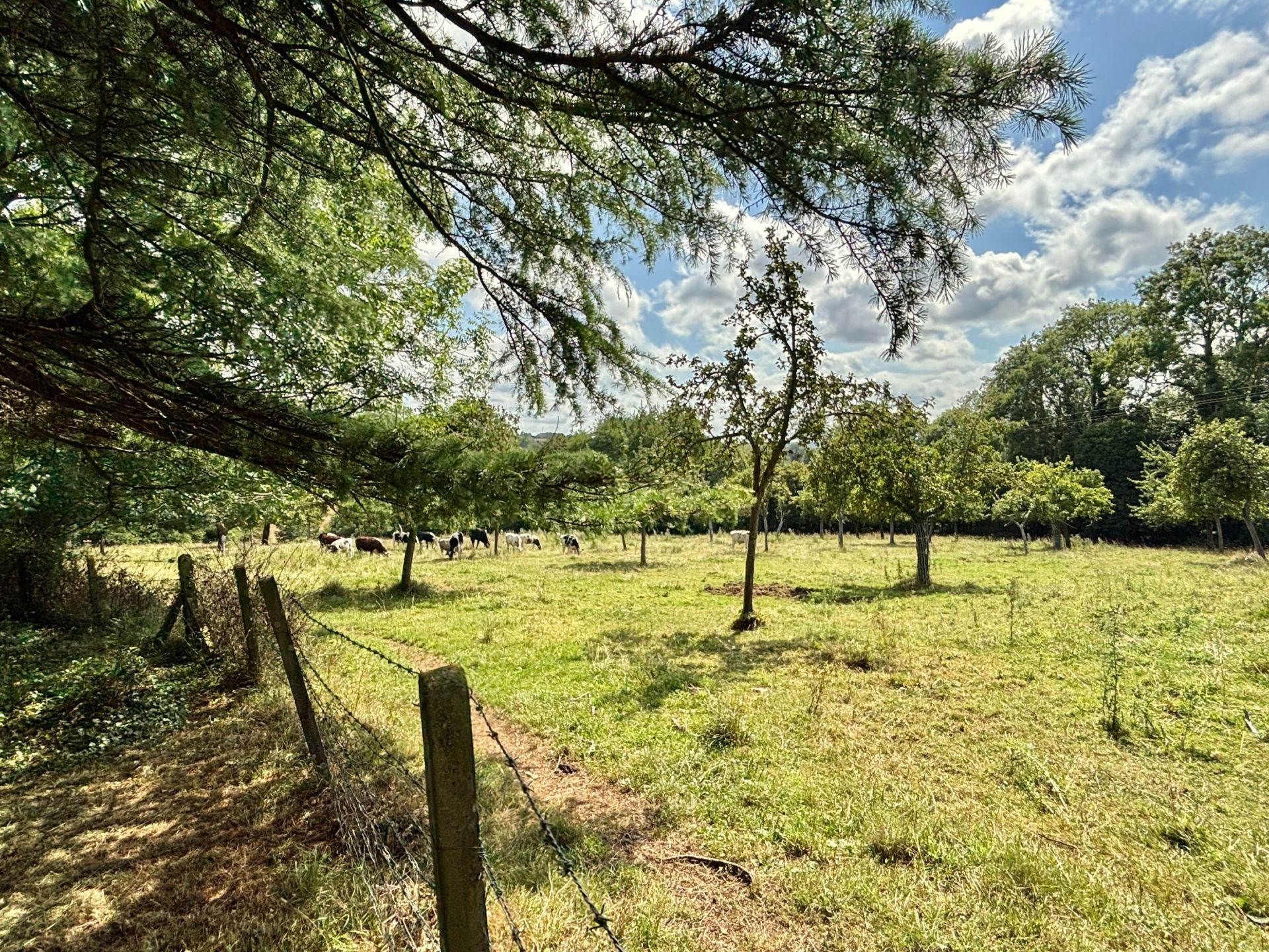 maison 10 Pièces en vente sur ENGLESQUEVILLE EN AUGE (14800)