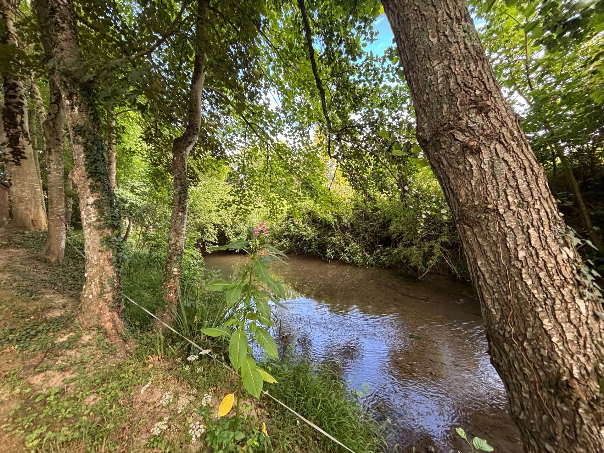 manoir 8 Pièces en vente sur RUMESNIL (14340)