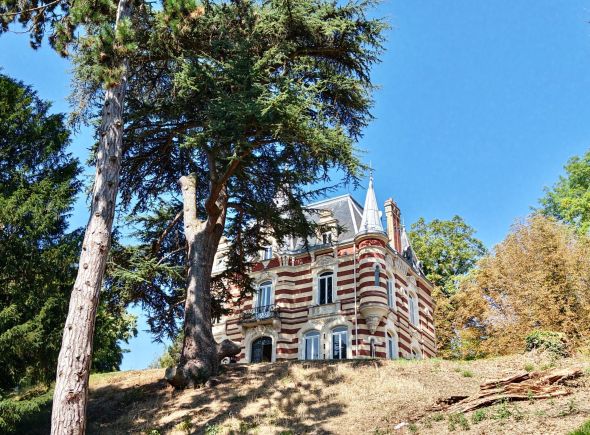 Vente Maison Saint-Pierre-du-Vauvray 12 Pièces 750 m²