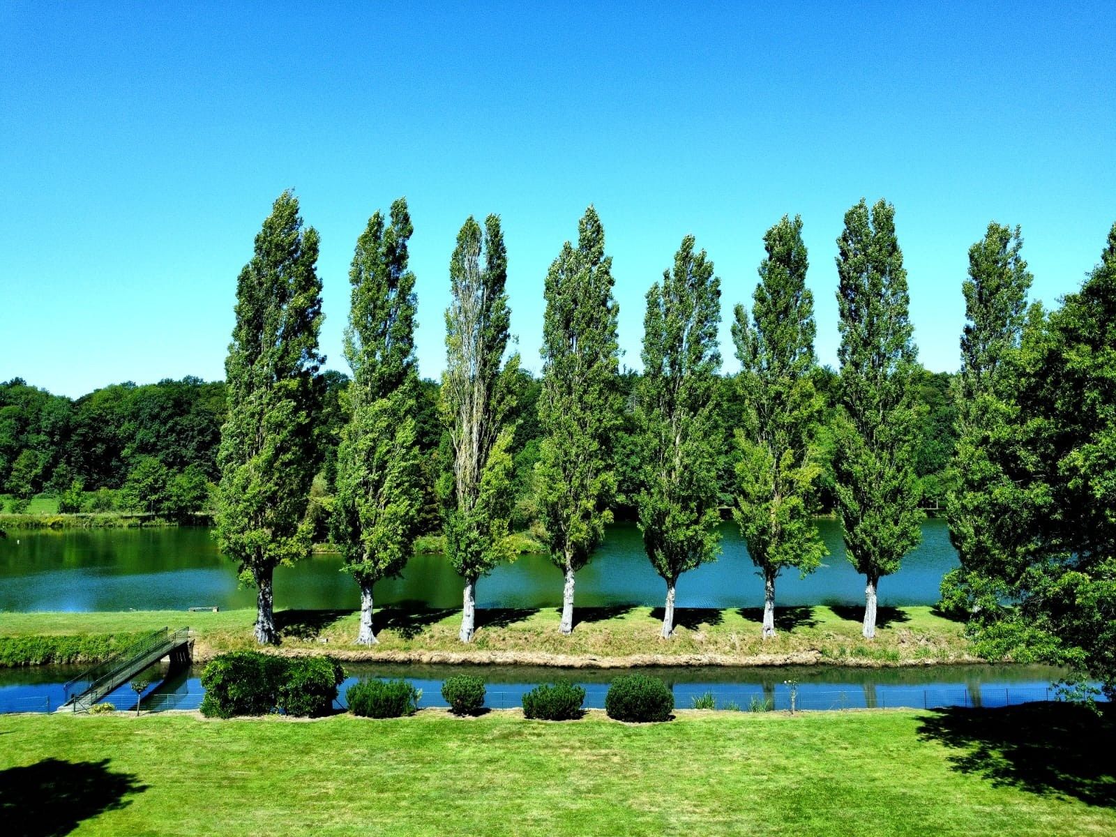 maison 12 Pièces en vente sur ST MARTIN D ECUBLEI (61300)