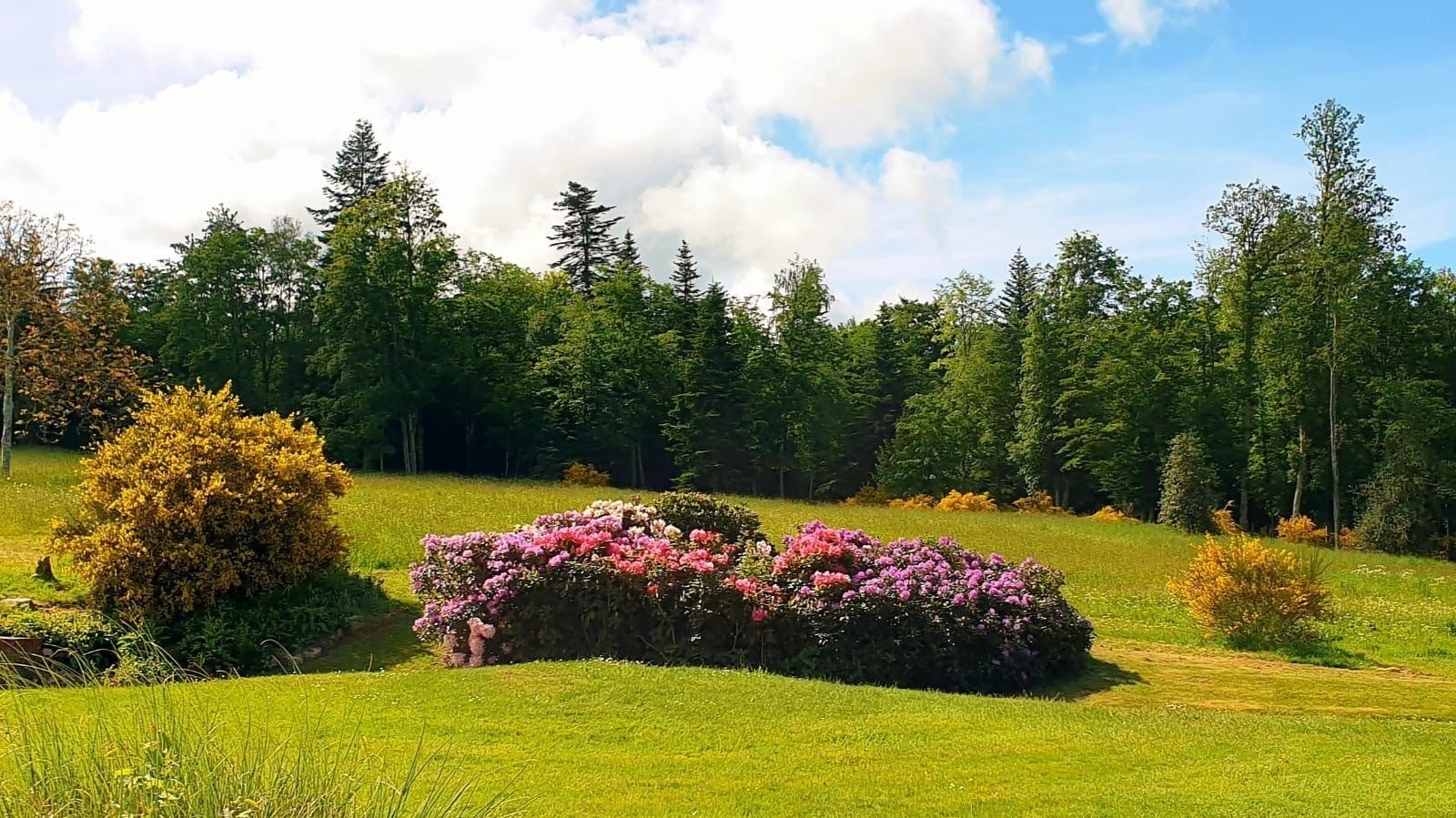 maison 12 Pièces en vente sur ST MARTIN D ECUBLEI (61300)