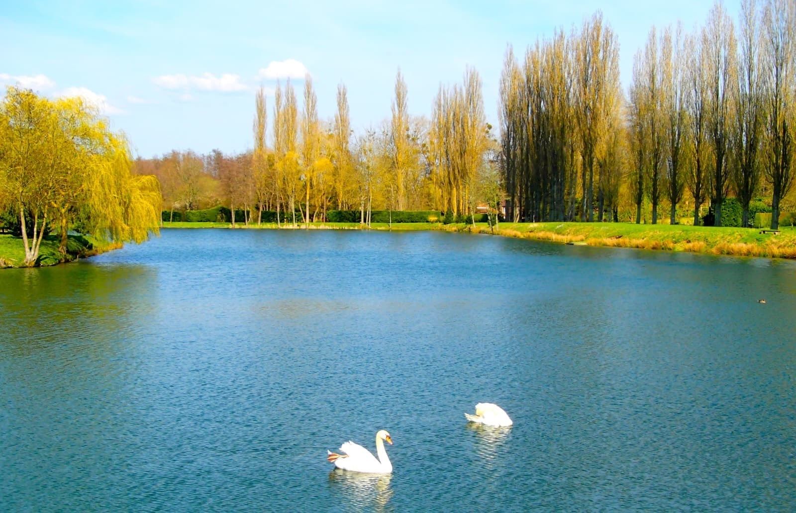 maison 12 Pièces en vente sur ST MARTIN D ECUBLEI (61300)