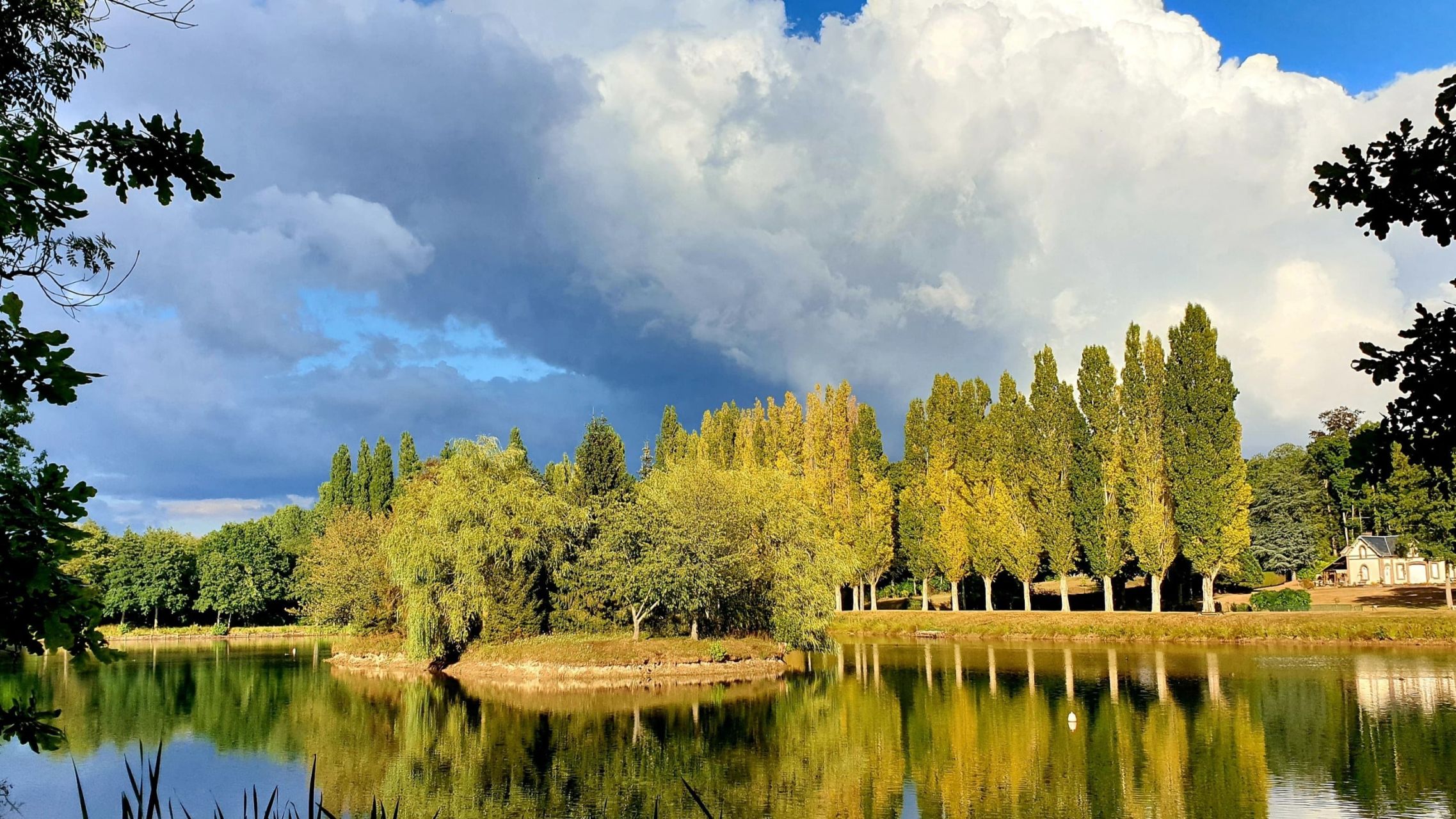 maison 12 Pièces en vente sur ST MARTIN D ECUBLEI (61300)