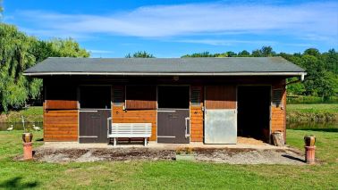 maison 12 Pièces en vente sur ST MARTIN D ECUBLEI (61300)