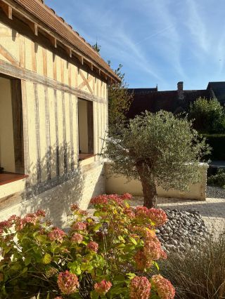 maison 5 Pièces en vente sur CLEVILLE (14370)