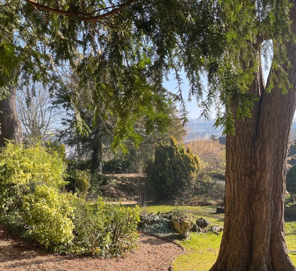 Vente Maison Mont-Saint-Aignan 11&nbsp;Pièces 305&nbsp;m²