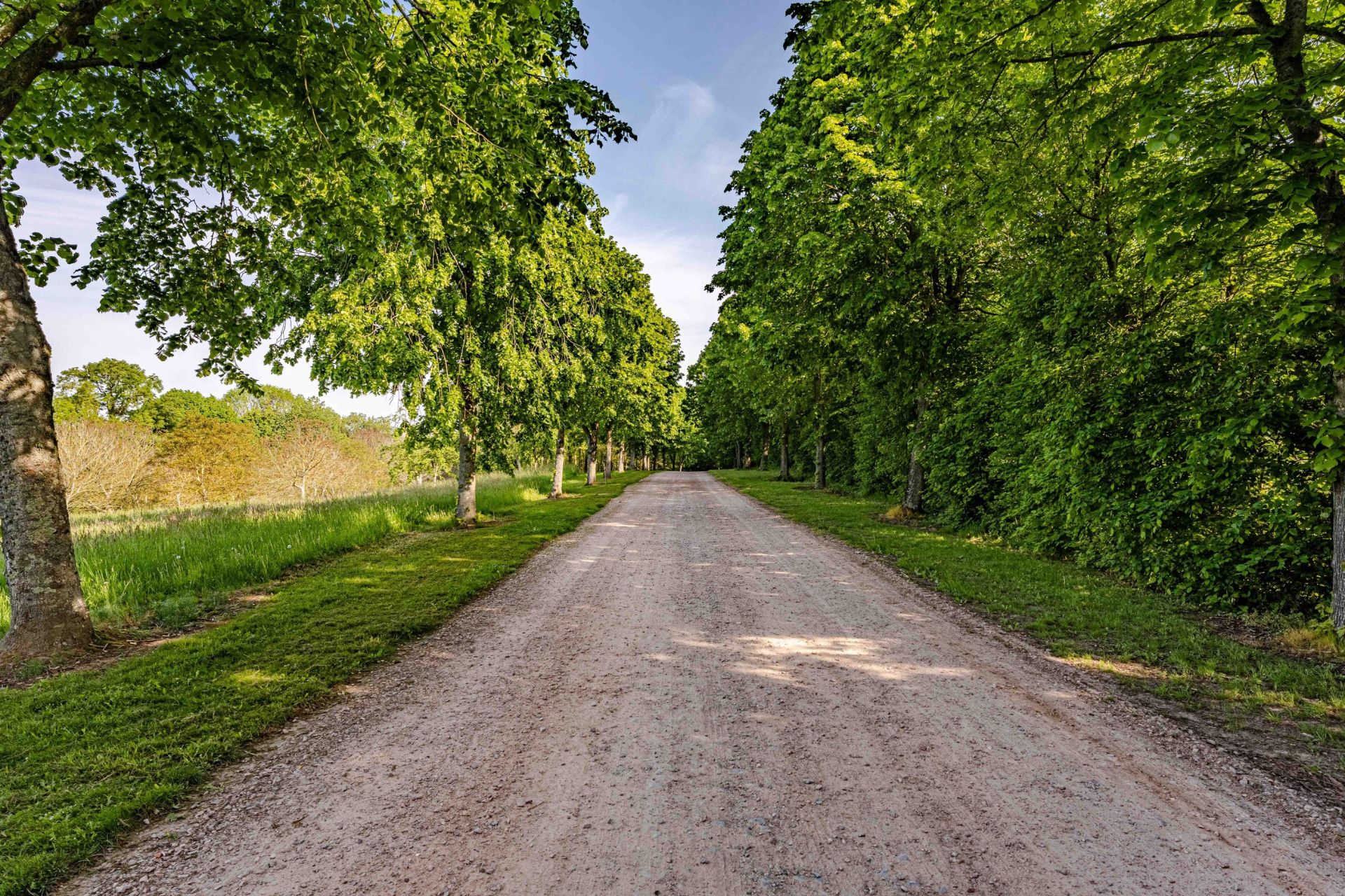 maison 40 Pièces en vente sur PONT L EVEQUE (14130)