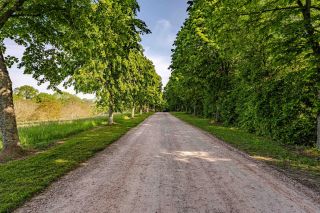 maison 40 Pièces en vente sur PONT L EVEQUE (14130)