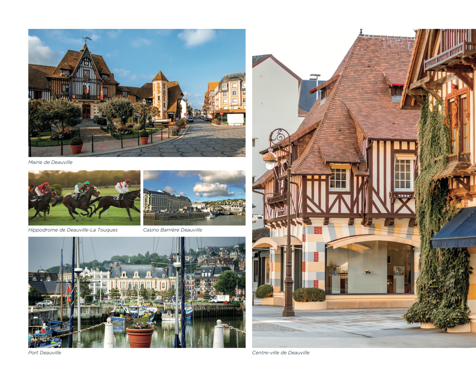 apartment 1 room for sale on DEAUVILLE (14800)