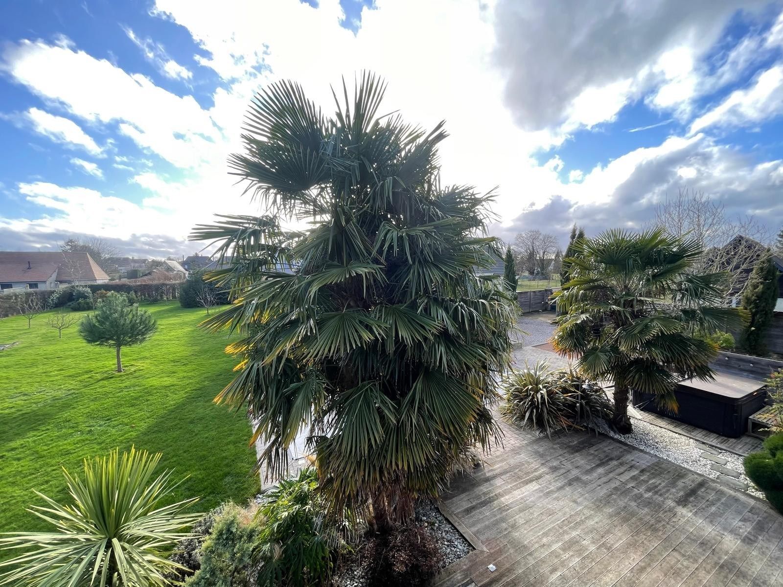 Norman house 9 Rooms for sale on LA LONDE (76500)