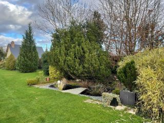 Norman house 9 Rooms for sale on LA LONDE (76500)