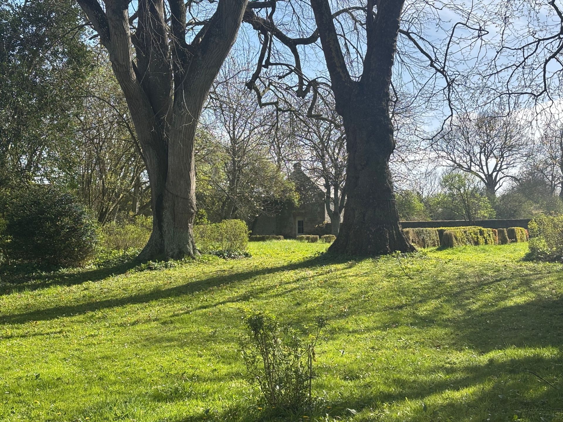 house 19 Rooms for sale on GRANDCAMP MAISY (14450)