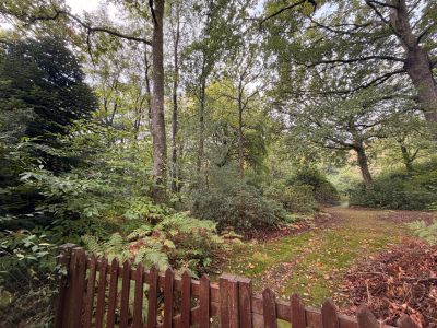 Sale Buildable land Saint-Gatien-des-Bois 3811&nbsp;m²