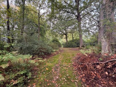 Sale Buildable land Saint-Gatien-des-Bois 3811&nbsp;m²