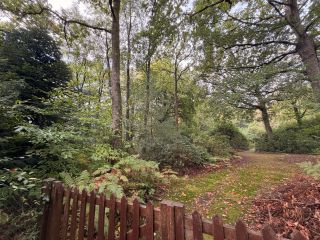 buildable land for sale on ST GATIEN DES BOIS (14130)