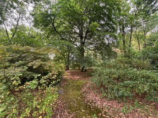 buildable land for sale on ST GATIEN DES BOIS (14130)