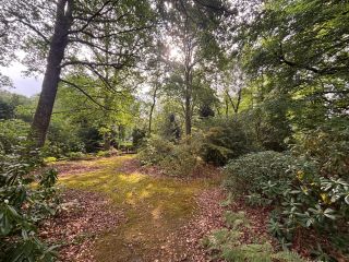 buildable land for sale on ST GATIEN DES BOIS (14130)