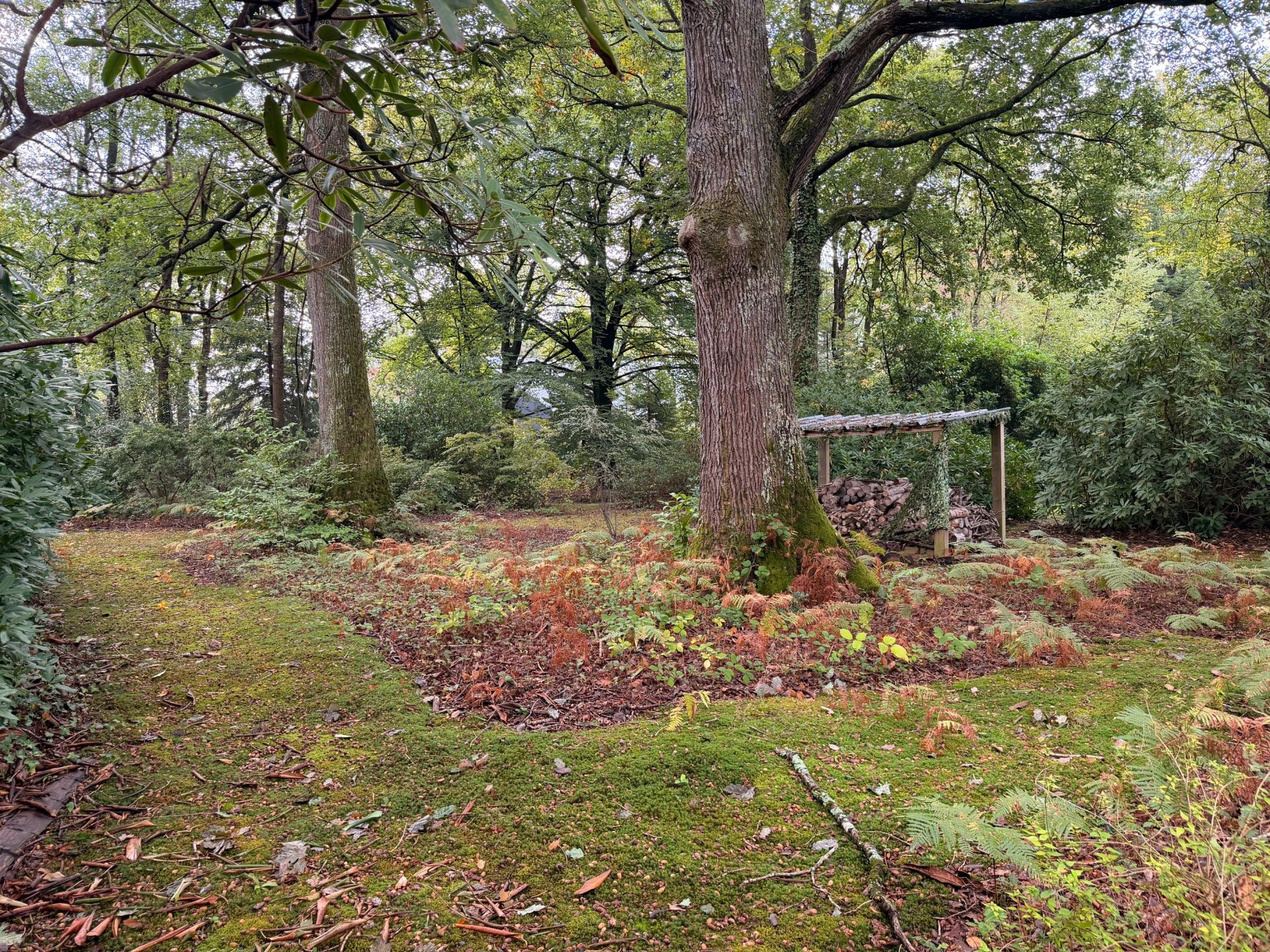 house 5 Rooms for sale on ST GATIEN DES BOIS (14130)