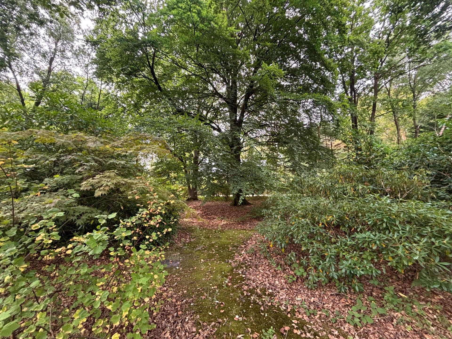 house 5 Rooms for sale on ST GATIEN DES BOIS (14130)