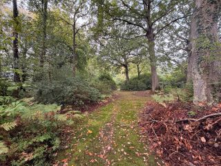 house 5 Rooms for sale on ST GATIEN DES BOIS (14130)