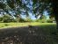 house 5 Rooms for sale on ST HYMER (14130)