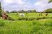 house 8 Rooms for sale on LE MOLAY LITTRY (14330)