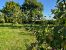 house 7 Rooms for sale on BARENTIN (76360)